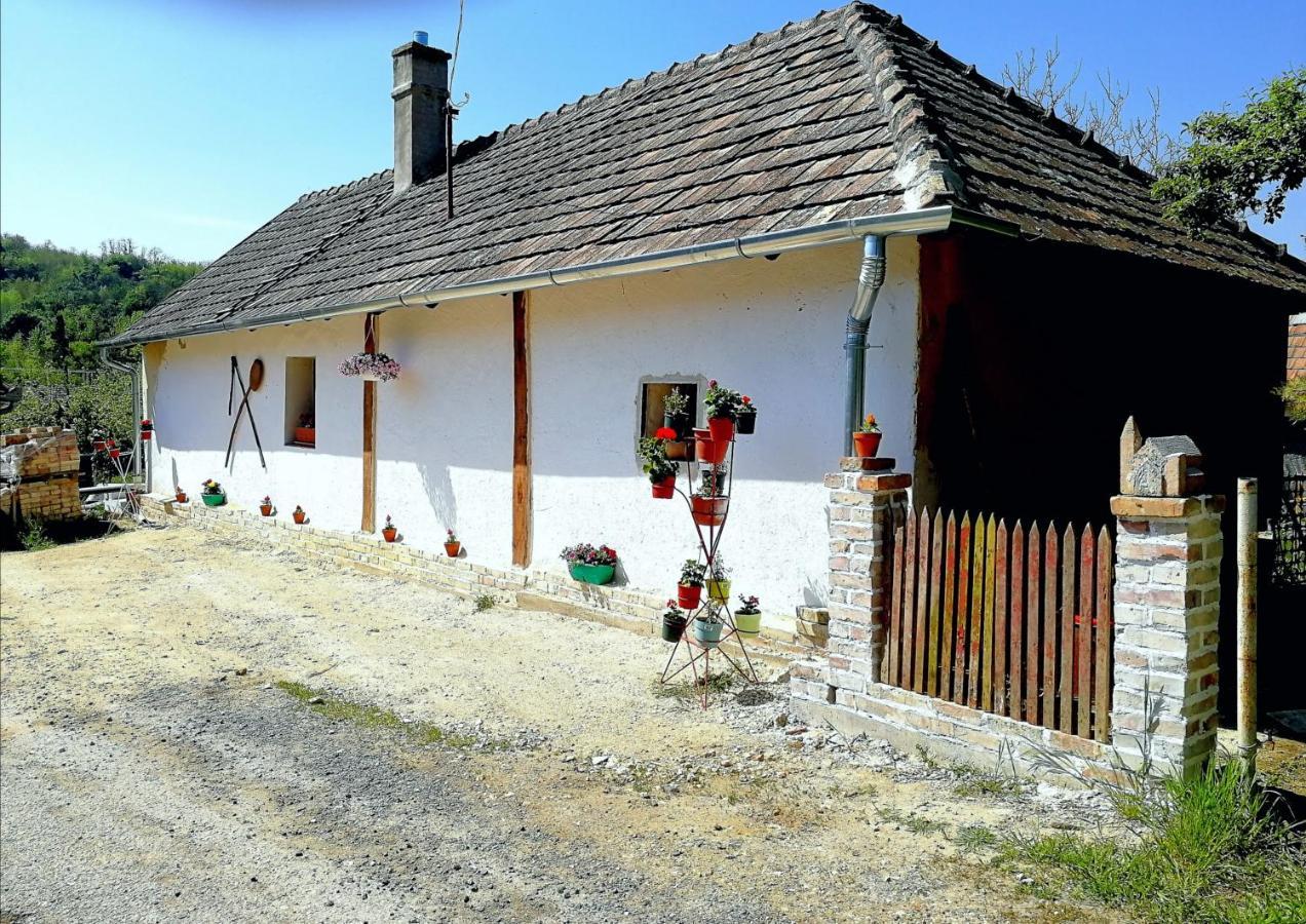 Traditionelles Bauernhaus Flieder Zalaszentgrot Екстер'єр фото